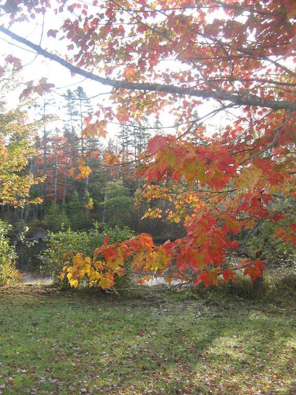 Sherbrooke Village Inn Bagian luar foto